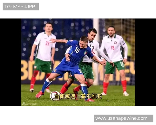 挪威与塞尔维亚对决谁能赢得胜利分析与预测