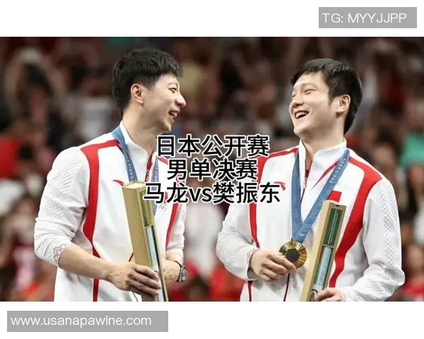 樊振东与马龙巅峰对决乒乓球赛场谁能问鼎荣耀之巅